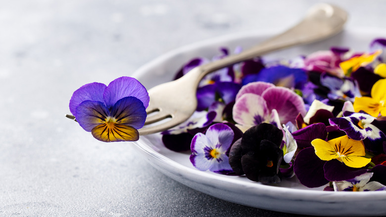 Plate of edible flowers