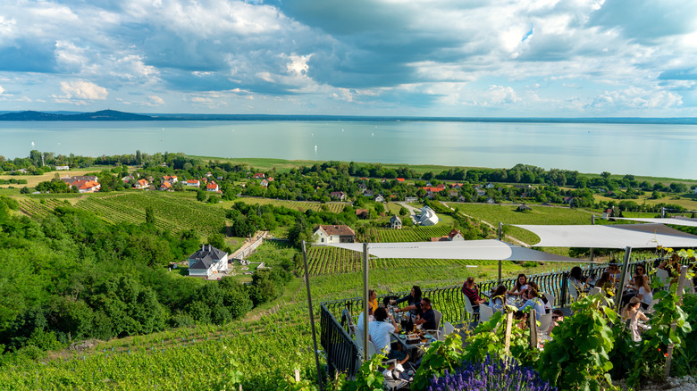 Hungary winery Lake Balaton