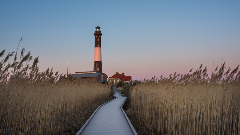 Fire Island lighthouse tall grass