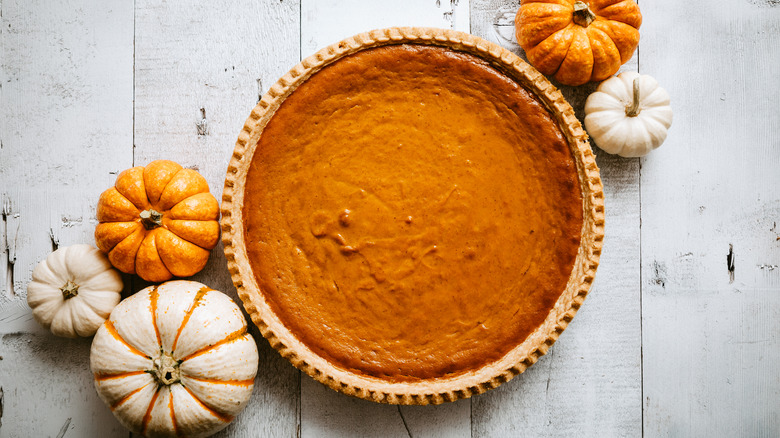 Overview of pumpkin pie next to pumpkins 