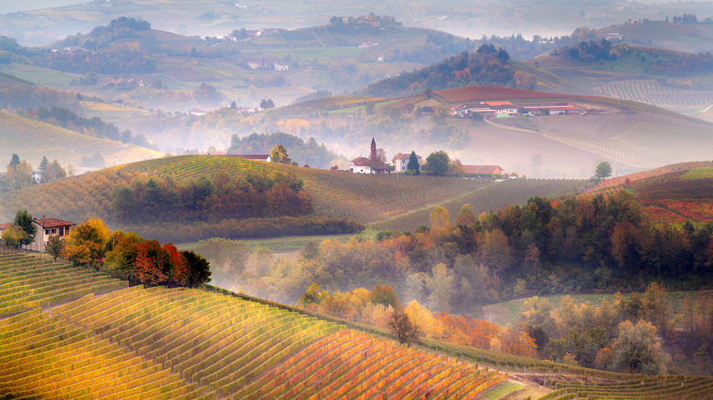 Langhe region