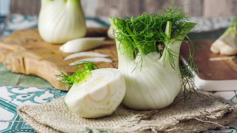 Fennel bulbs rustic background