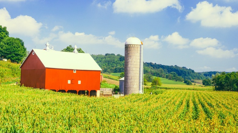 A farm in a field in Wisconsin 