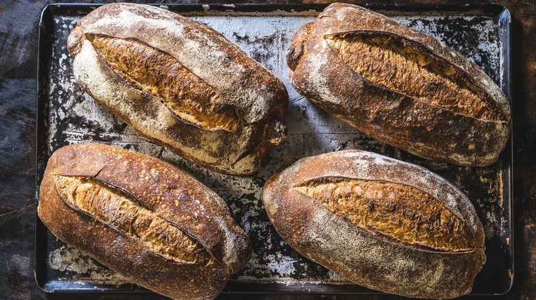 loaves of fresh sourdough bread