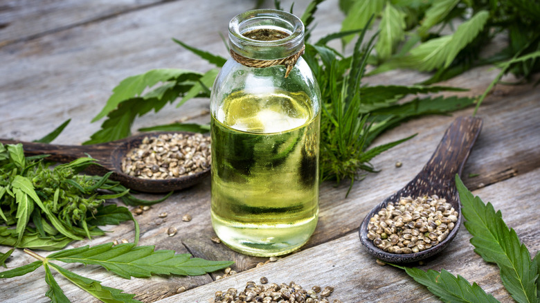 Hemp seeds plants and oil 